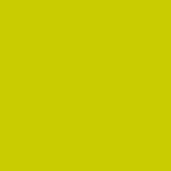 Mank normal Basics Uni TiD PE 80er kiwi 87571 web