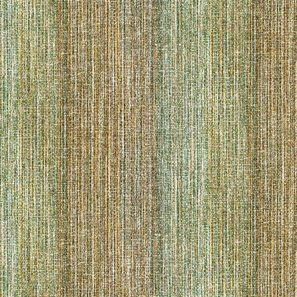 82505 DevinGruen 40x40 109116 web