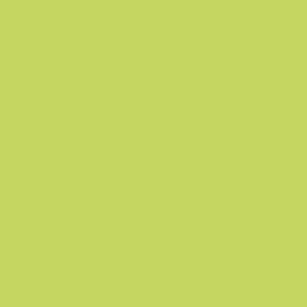 Mank normal Basics Uni SV 24er lime 96419 web